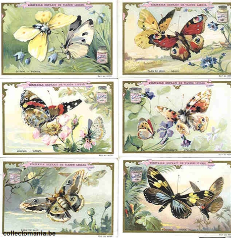 Chromo Trade Card 0519 Papillons