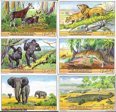 Chromo Trade Card 1349 Animaux sauvages du Congo  (1 - 12 )