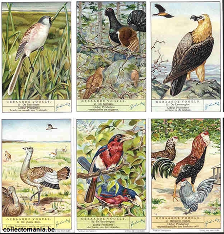 Chromo Trade Card 1408 Oiseaux barbus