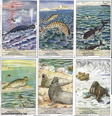 Chromo Trade Card 1430 Mammifères marins
