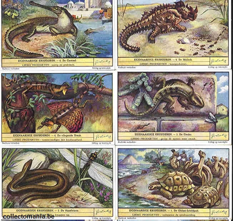 Chromo Trade Card 1482 Reptiles curieux