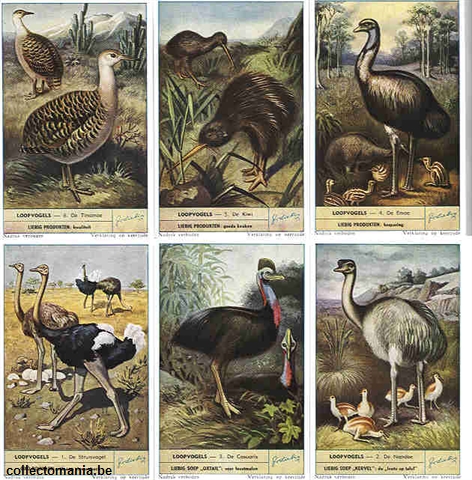 Chromo Trade Card 1580 Oiseaux coureurs