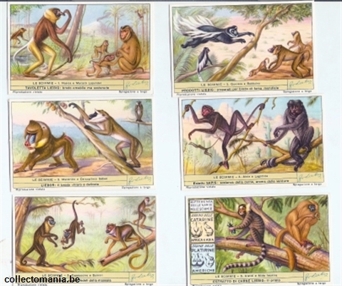 Chromo Trade Card 1603 Scimmie (le)