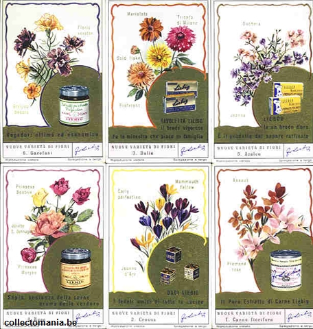 Chromo Trade Card 1617 Nuove varieta di fiori