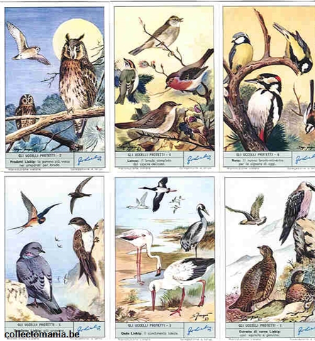 Chromo Trade Card 1804 Gli uccelli protetti