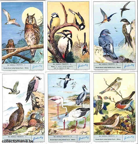 Chromo Trade Card 1868 Gli uccelli protetti BR.B.L S_1804