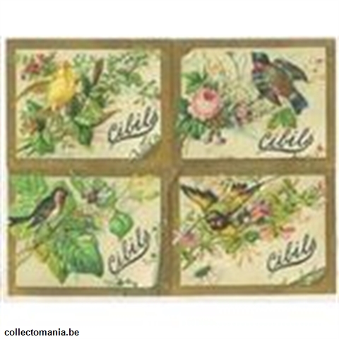 Chromo Trade Card CIB_1_22-3 BIRDS 12 BIGGER CARDS