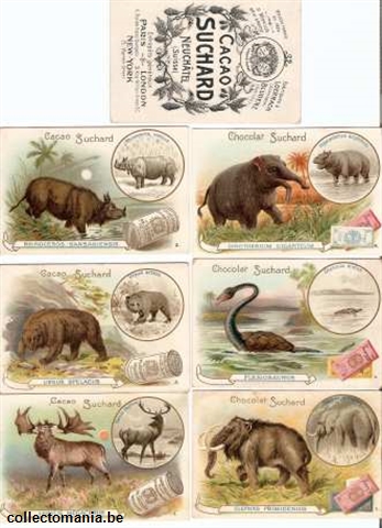 Chromo Trade Card SucI080 Prehistoric Animals and their modern equivallents (12)