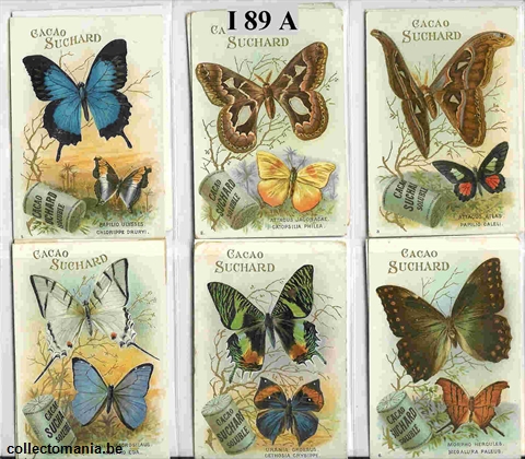 Chromo Trade Card SucI089 Butterflies & Moths (12)