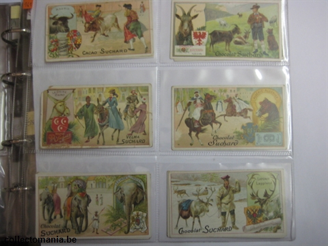 Chromo Trade Card SucI161 Animals and birds associated with town or countries (12)