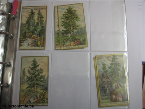Chromo Trade Card SucI170 Trees(12)