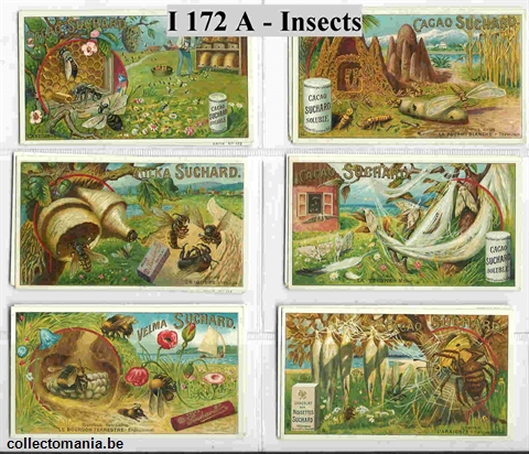 Chromo Trade Card SucI172 Insects (12)