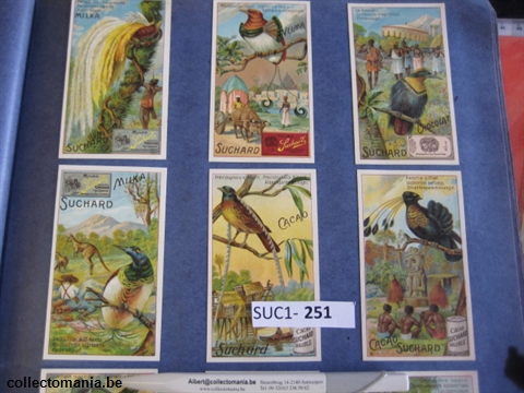 Chromo Trade Card SucI251 Tropical Birds (12)