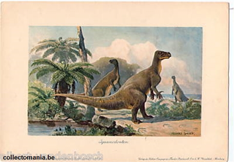 Chromo Trade Card iguanodont 