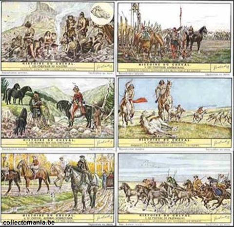 Chromo Trade Card 1507 Histoire du cheval
