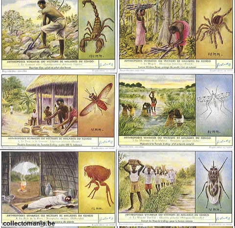 Chromo Trade Card 1637 Anthropodes venimeux ou vecteurs de