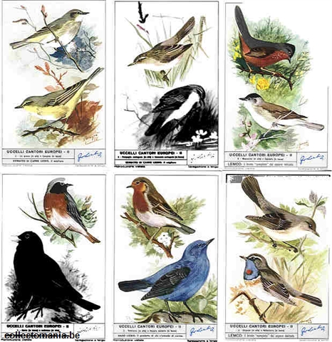 Chromo Trade Card 1771 Uccelli cantori Europei II