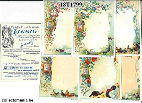 Chromo Trade Card T17 *Floral Framework with Birds 1899